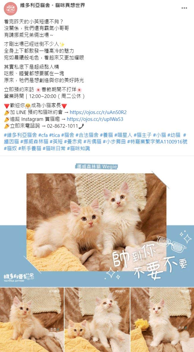 Facebook 社群贴文范例
